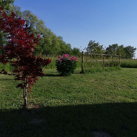 Bed and Breakfast La Ferme De La Terve Bruailles Екстер'єр фото