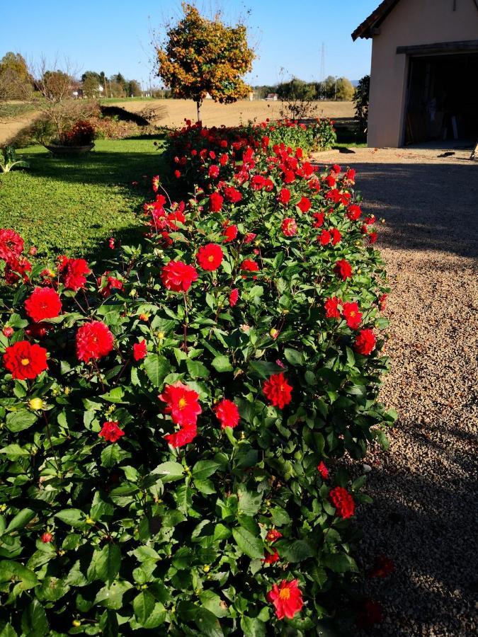 Bed and Breakfast La Ferme De La Terve Bruailles Екстер'єр фото