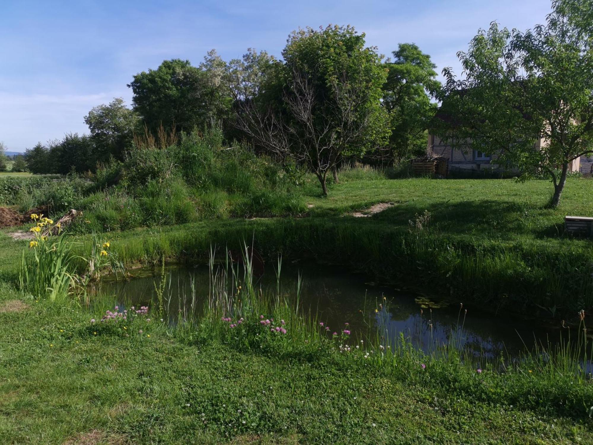 Bed and Breakfast La Ferme De La Terve Bruailles Екстер'єр фото
