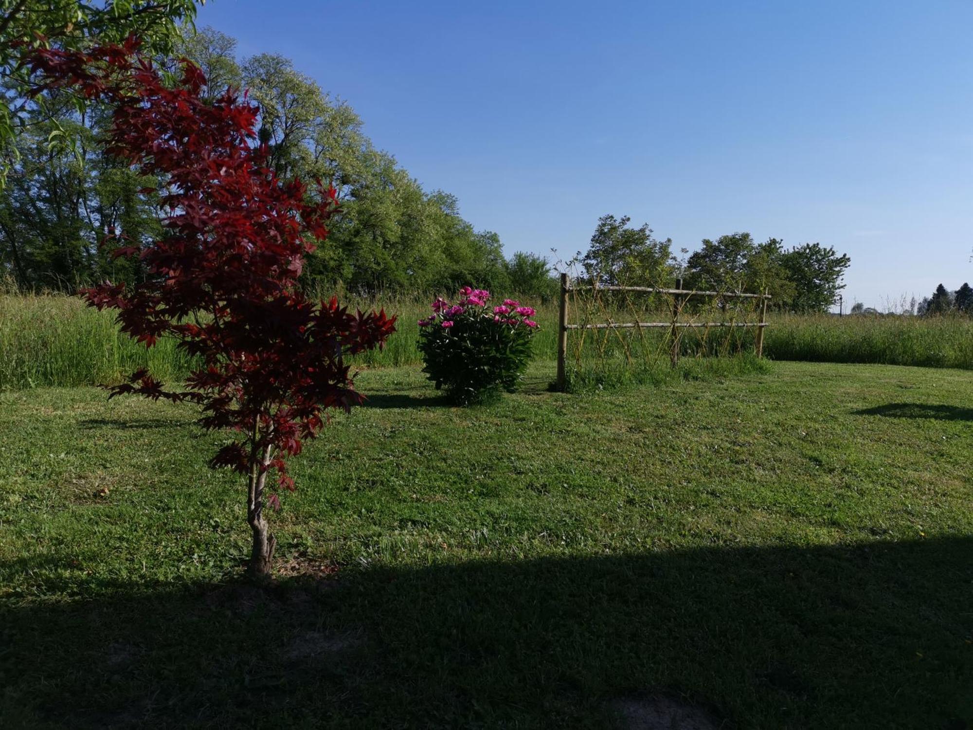 Bed and Breakfast La Ferme De La Terve Bruailles Екстер'єр фото