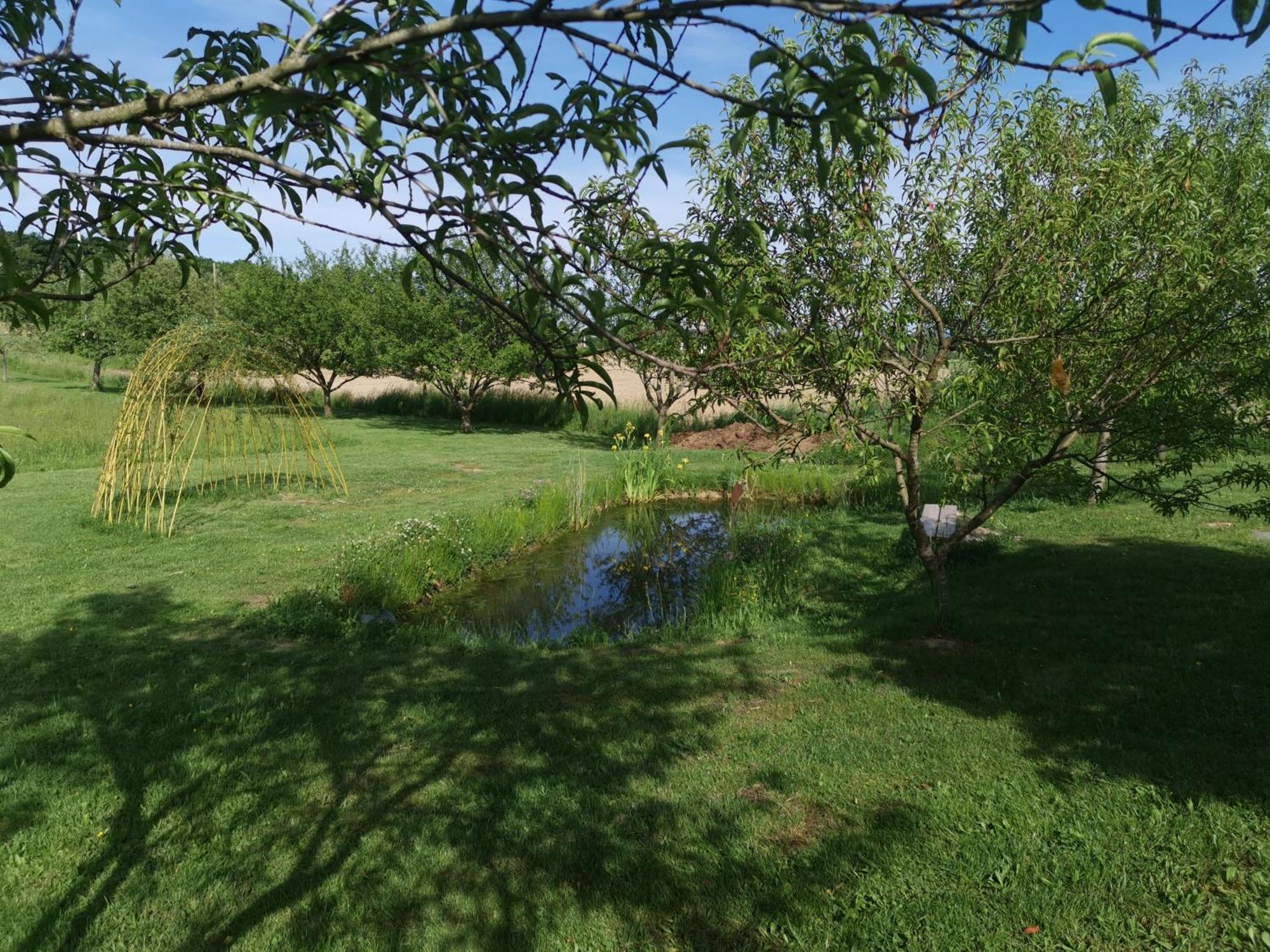Bed and Breakfast La Ferme De La Terve Bruailles Екстер'єр фото